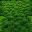 Grass Block texture