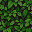 Oakwood Leaves texture
