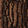 Pinewood Log texture