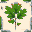Oak Sapling texture