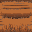 Thatch texture